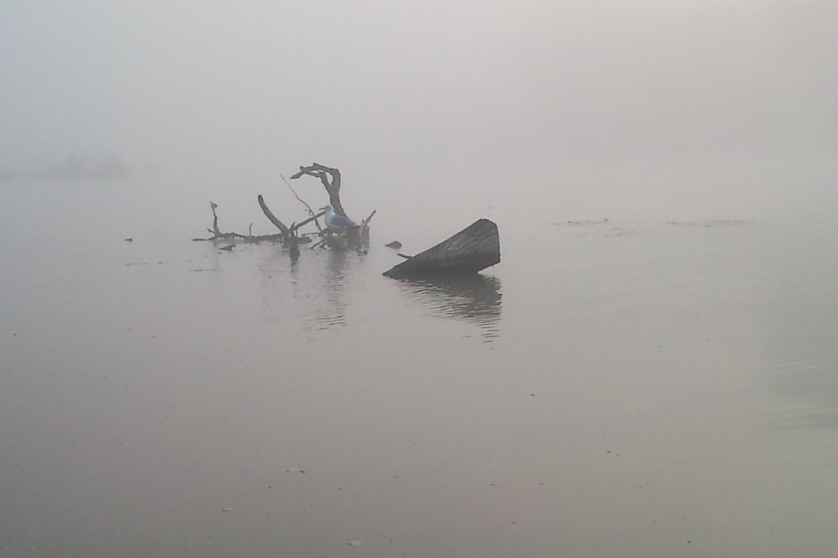 DELTA 2011  MILA 23 - DSC00159.JPG